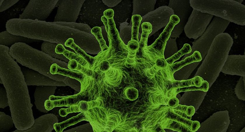 Stan epidemiologiczny na 18 listopada | 421 mieszkańców regionu wyzdrowiało
