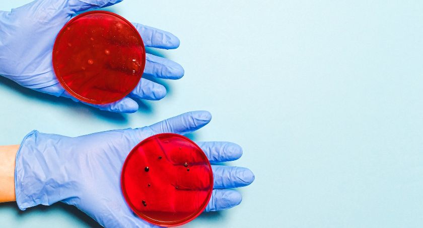 Stan epidemiologiczny na 20 listopada | Prawie 800 ozdrowieńców w regionie