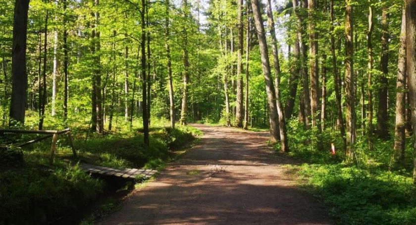 30 milionów na imponujący projekt ekologiczny w Bielsku-Białej. Wkrótce ruszają prace