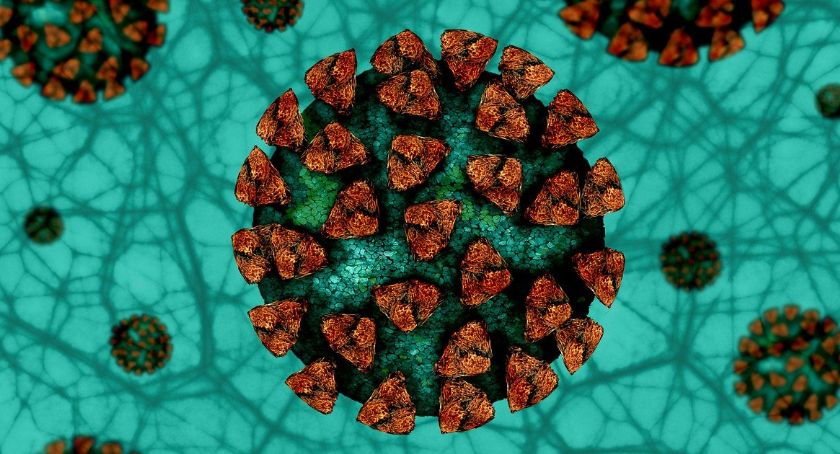 Stan epidemiologiczny na 1 stycznia