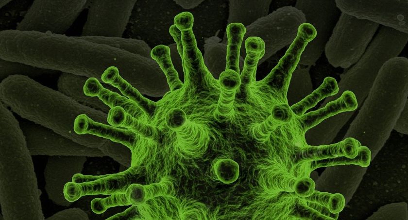Stan epidemiologiczny na 28 stycznia