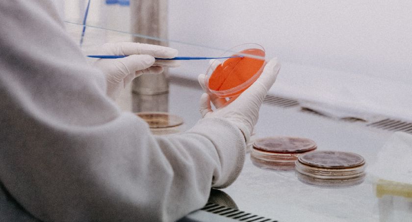 Stan epidemiologiczny na 4 lutego