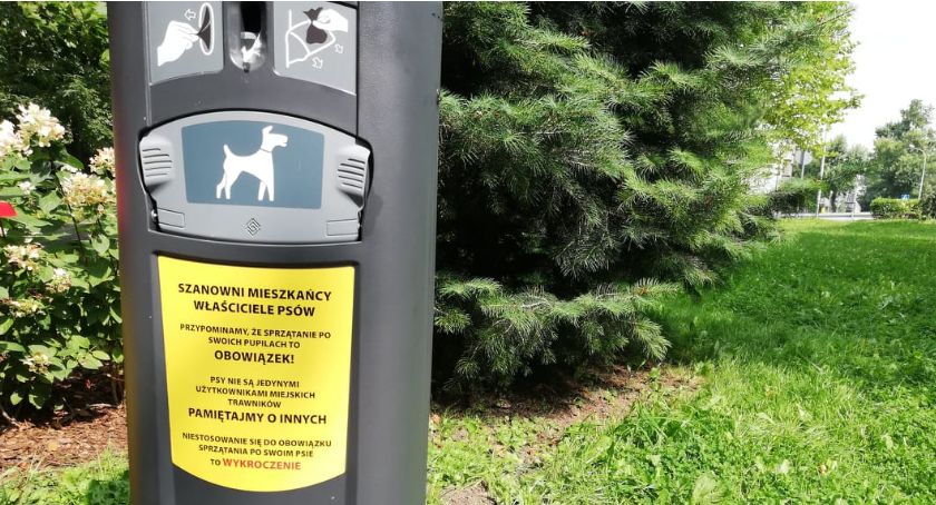Problem psich odchodów na bielskich ulicach i skwerach