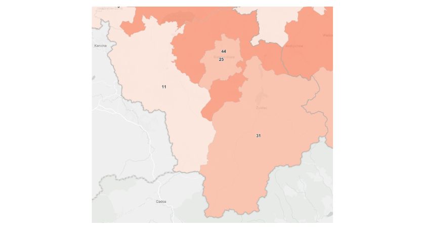 Stan epidemiologiczny w regionie na 9 marca | Zmarło 14 osób