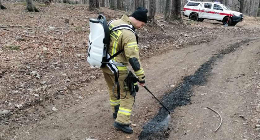 Ślady oleju na szlaku turystycznym kompleksu leśnego w Wapienicy