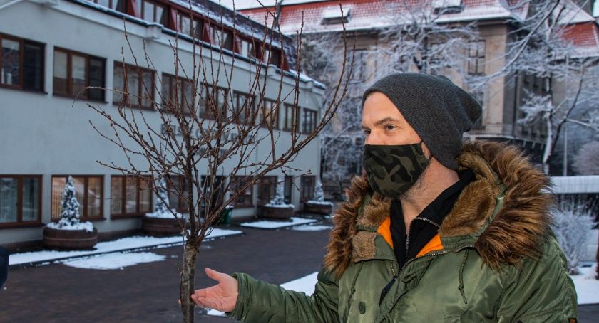 Drzewo od Organka w Bielsku-Białej FOTO