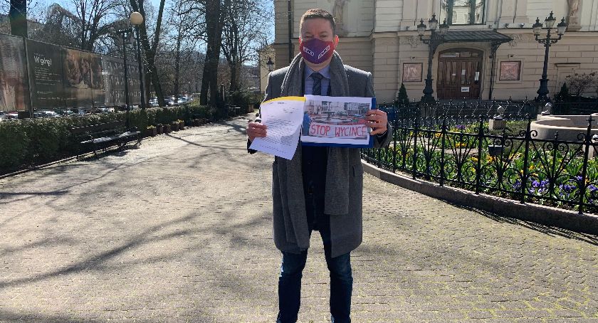 Wycinka drzew obok teatru. Poseł chce interwencji ministra Pudy