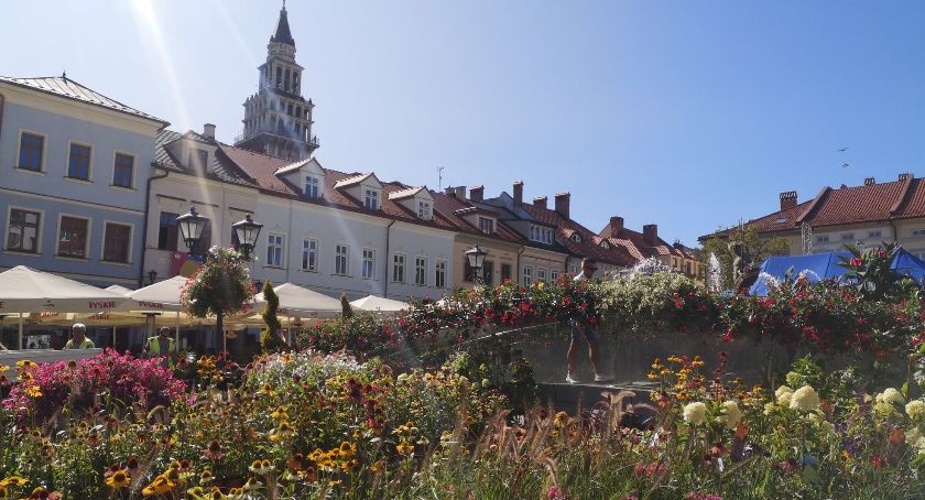 30 tys. wiosennych kwiatów zakwitnie w Bielsku-Białej