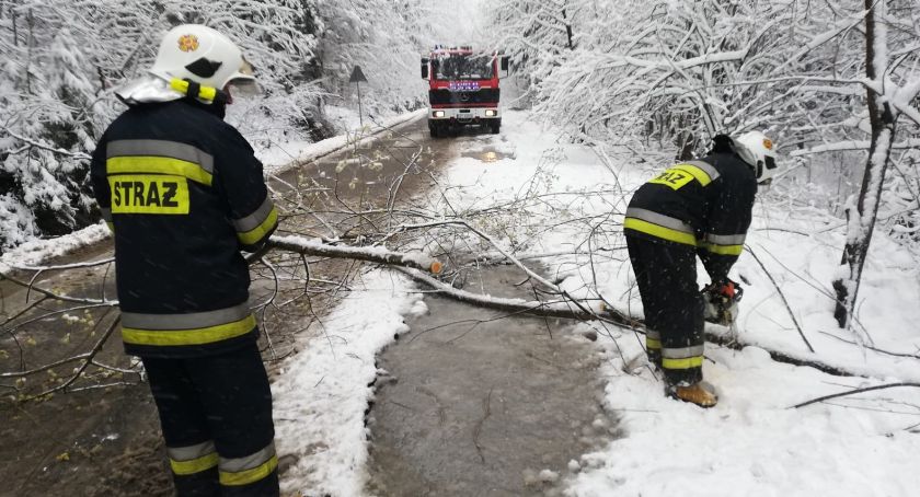 Coraz więcej zgłoszeń o powalonych drzewach w Beskidach. Winny mokry śnieg