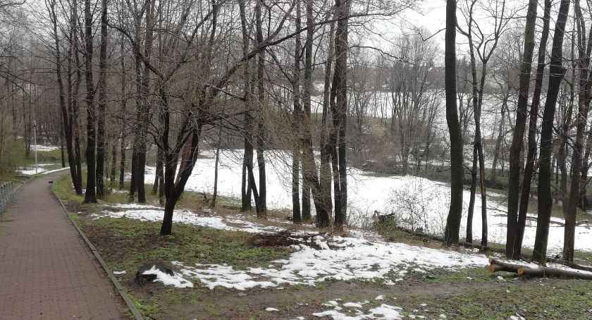 Czy na osiedlu Karpackim powstanie Park Rekreacyjny?