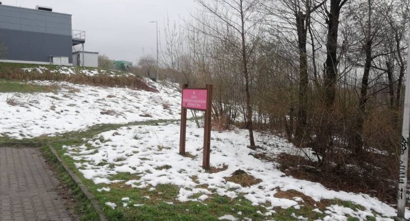 Czy na Osiedlu Karpackim powstanie park? Jest odpowiedź Urzędu Miejskiego
