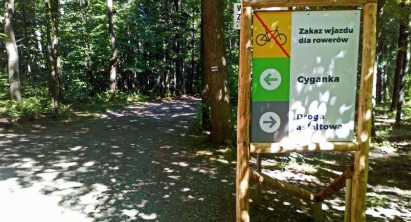 Cygański Las ma problem z parkingami dla turystów