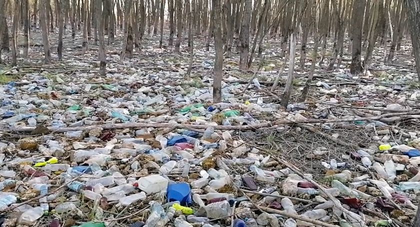 Morze plastikowych butelek przy ujściu Soły do Jeziora Żywieckiego