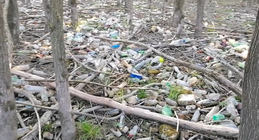 Morze plastikowych butelek zostanie posprzątane podczas Majowego śmieciobrania