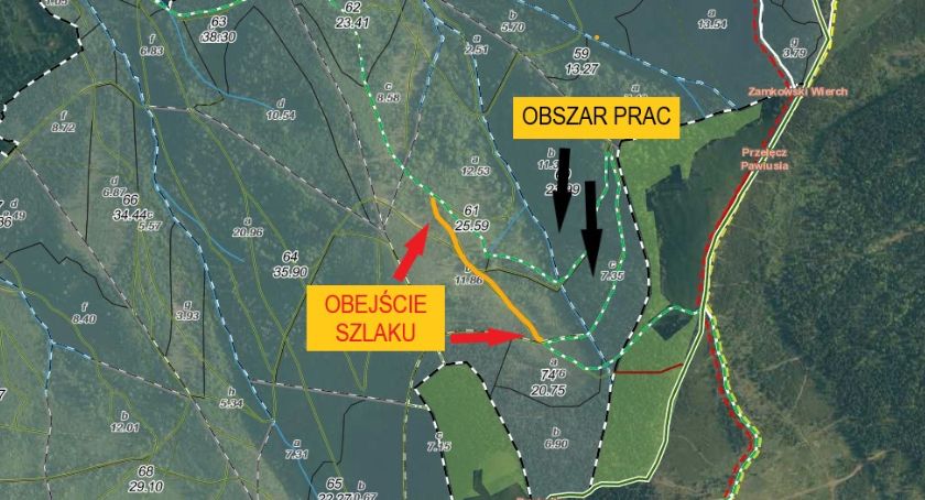 Zakaz wstępu na zielonym szlaku z Żabnicy z powodu wycinek