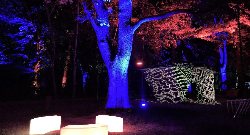 Niezwykłe iluminacje zamienią plażę miejską i Park Strzygowskiego w Las Wrażeń