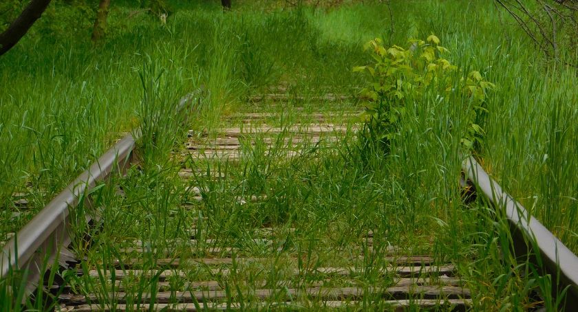 Remont linii Bielsko-Biała - Skoczów. Powstaną nowe przystanki