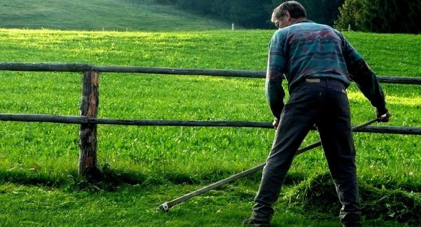 Mistrzostwa Górali Karpackich w Koszeniu Łąki Kosą
