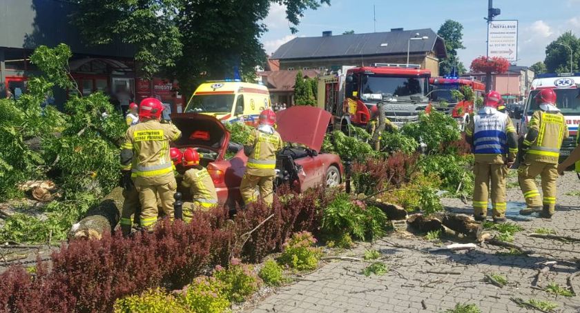 Po tragicznym wypadku w Żywcu wycinają przydrożne drzewa
