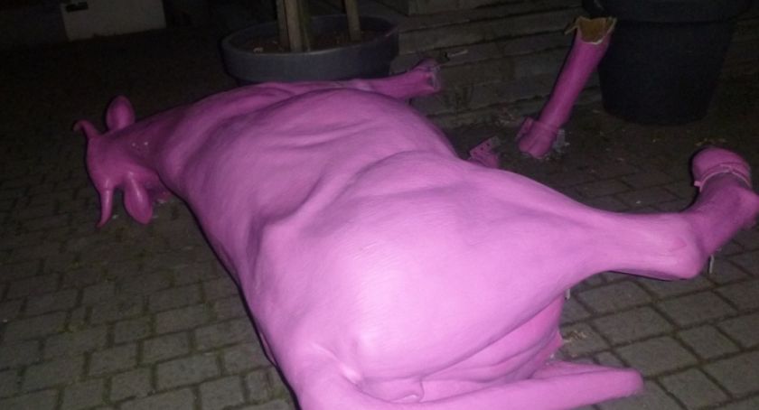 Połamał nogi różowej krowie | Właściciel oszacował szkody na 10 tys. zł