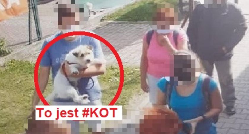 Awantura o kotopsa w autobusie do Szczyrku