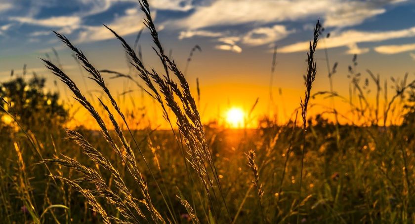 Pokazy średniowieczne na pożegnanie lata w Bestwinie i Kaniowie