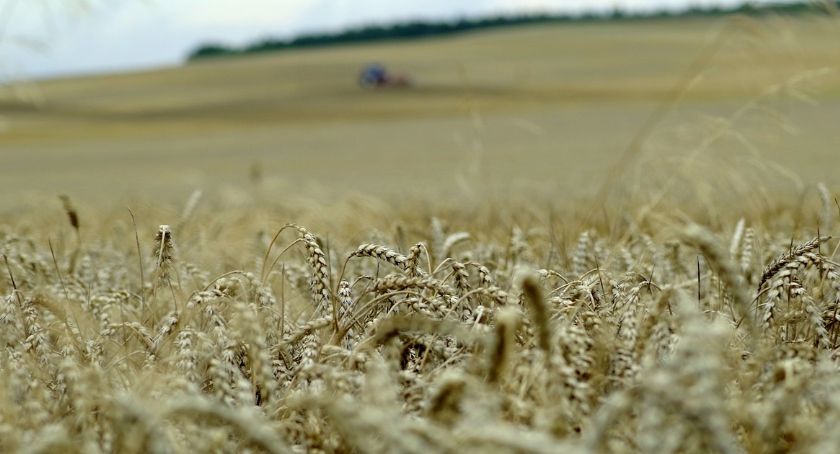 Dni Kóz, Święto Powiatu Bielskiego i Dożynki | Trzy imprezy w jednej 11-12.09