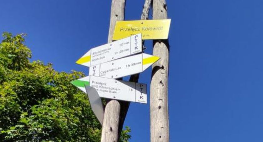 Wznawiają wycinkę na szlaku prowadzącym na Klimczok | Wyznaczono szlak alternatywny