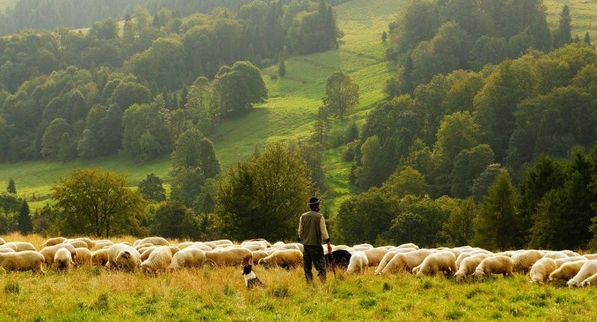 Odpust pasterski w Wilkowicach | Występy kapel góralskich i kiermasz produktów regionalnych