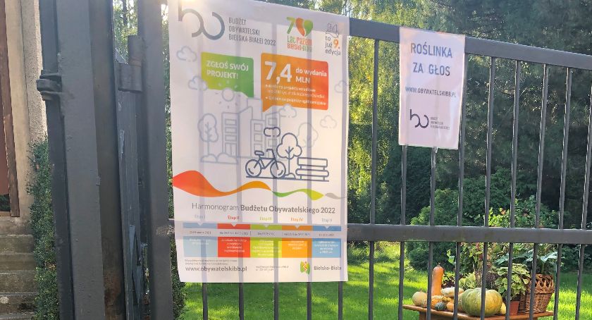 Roślina za głos w Budżecie Obywatelskim Bielska-Białej