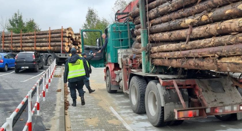 18 ton za dużo ważyła ciężarówka z drzewem zatrzymana na przejściu granicznym