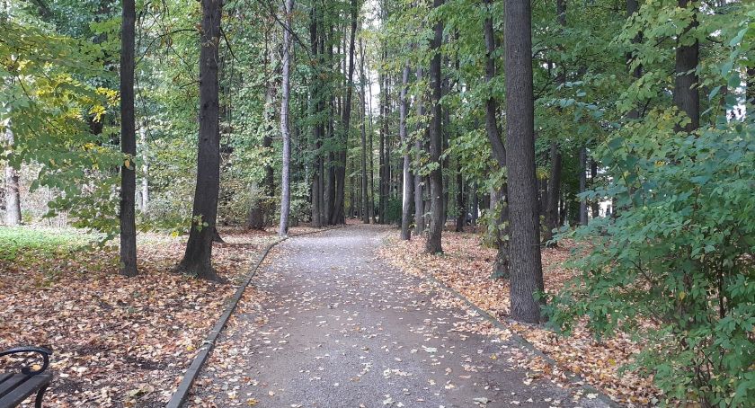 Cały park do wycinki? Tego chcą autorzy petycji, którym przeszkadza śpiew ptaków