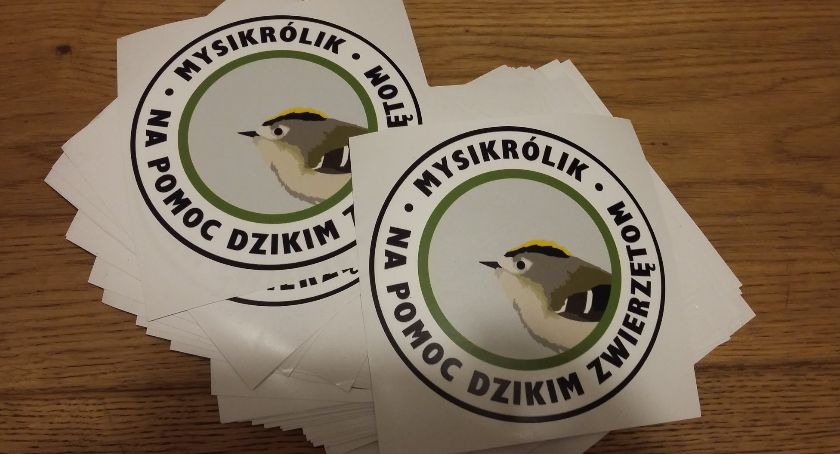 Koncert na rzecz Fundacji Mysikrólik
