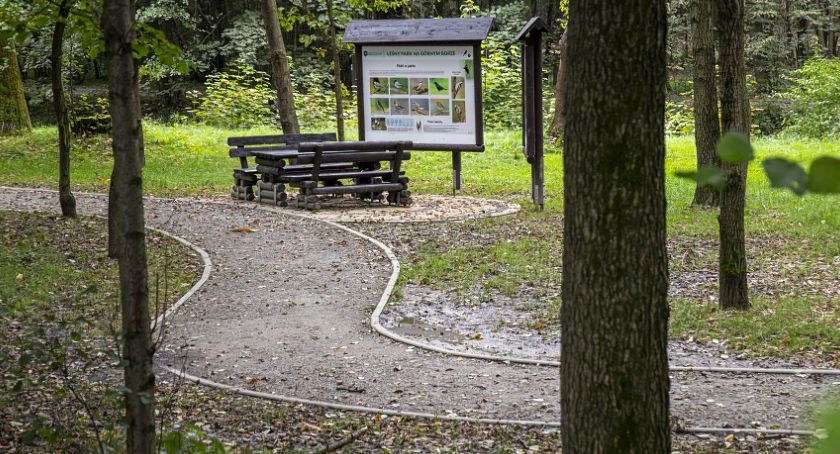Skoczów zdobył tytuł Miasta z klimatem
