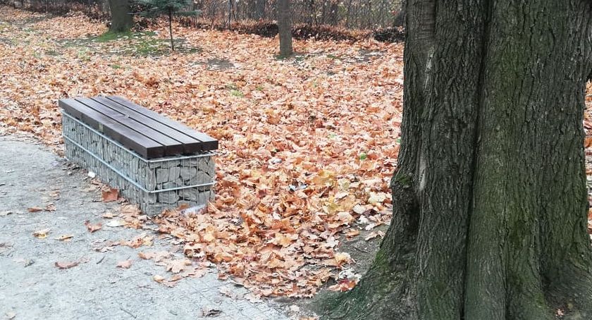 Ławki w Cygańskim Lesie będą w trzech wersjach. Miasto odpowiada na zastrzeżenia 