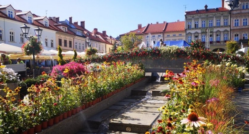Niezrealizowane projekty budżetu obywatelskiego w Bielsku-Białej | Jak dużo ich jest?