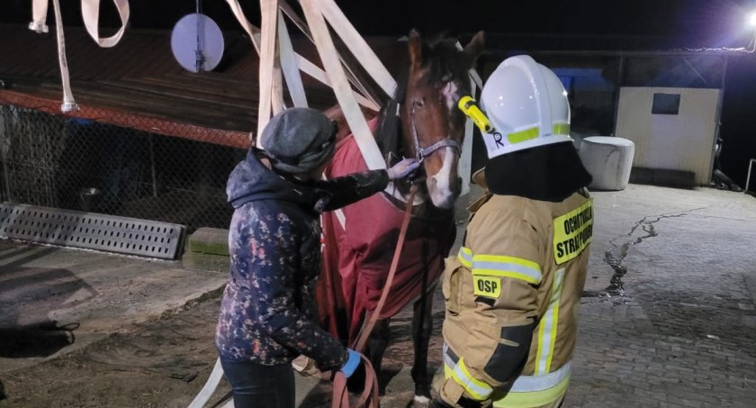 Strażacy ruszyli z pomocą choremu koniowi [FOTO]