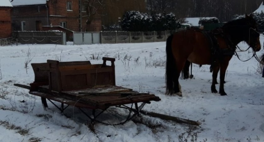 Groźny wypadek na kuligu w Czernichowie | Trzy osoby trafiły do szpitala