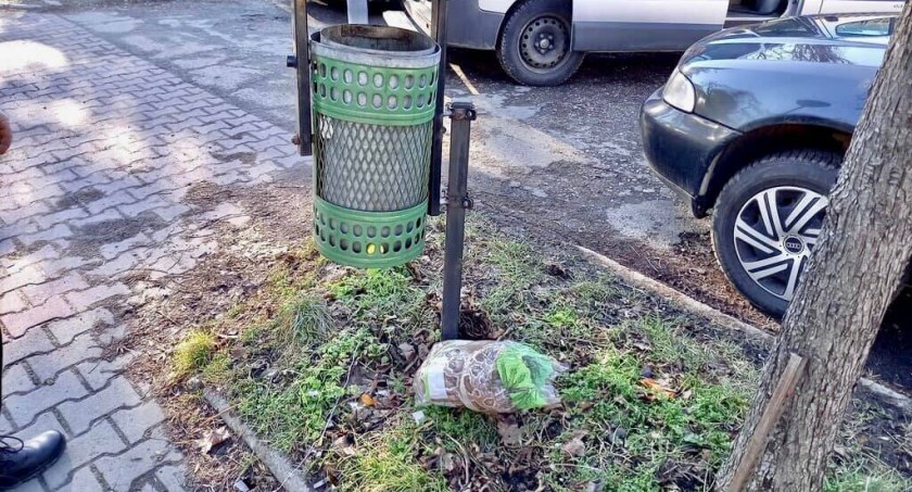 Wąż podrzucony przy śmietniku | Nietypowa akcja strażników miejskich
