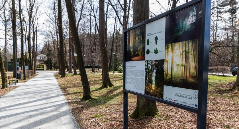 Park w Cygańskim Lesie przeszedł metamorfozę FOTO