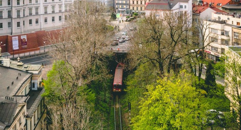 Czerwony alert dla drzew za Teatrem Polskim | Miasto próbuje powstrzymać wycinkę planowaną przez PKP