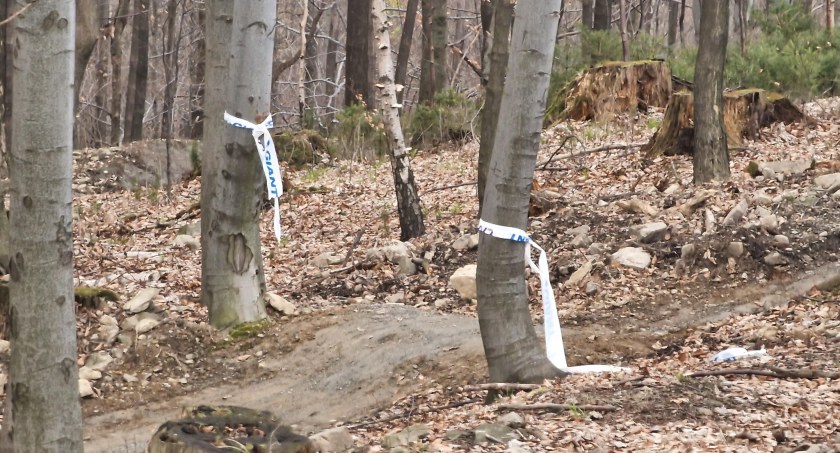 Rowerzyści niszczą świeżo remontowane trasy Enduro Trails