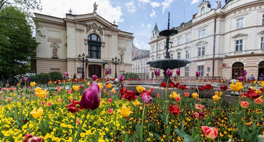 Bielsko-Biała - miasto usiane kwiatami [FOTO]