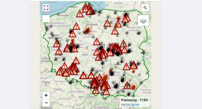 Gdzie występują kleszcze? Powstała interaktywna mapa niebezpiecznych miejsc