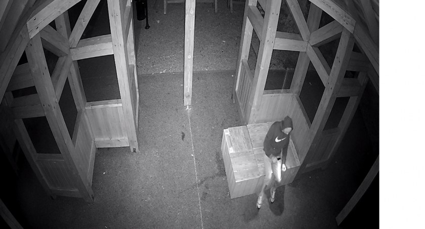 Podpalając domek dla owadów uśmiercił pszczoły, teraz poszukuje go Policja