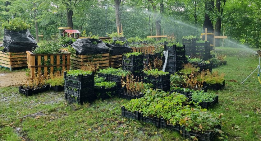 Co się dzieje w Parku Włókniarzy? Wyremontowano stare schody i przywieziono pierwsze rośliny [FOTO]