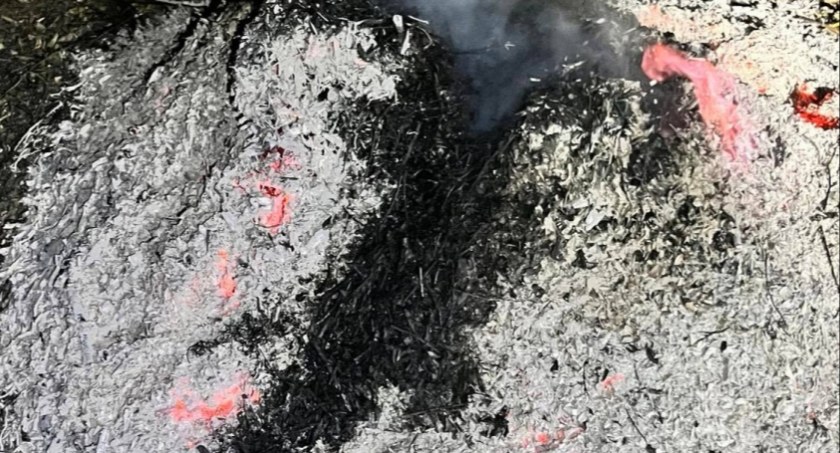 Spalał odpady zielone. Kiedy przyjechali strażnicy udawał, że nie ma go w domu