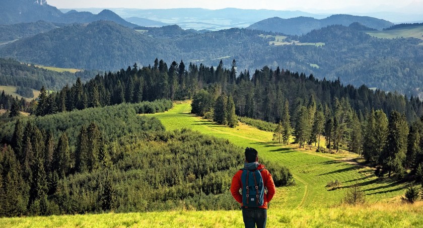 Planuj weekend w Beskidach: wielkie grillowanie, Festiwal Podrózników, grzybobranie, noc kultury