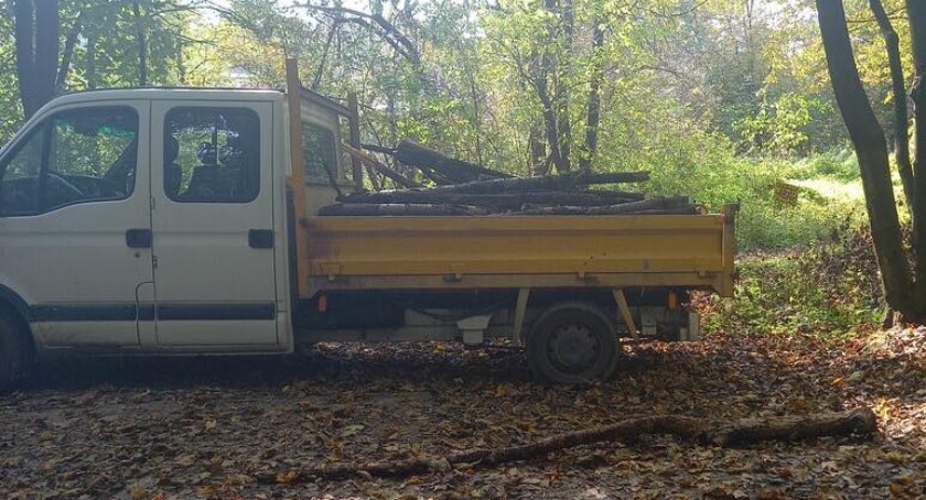 Wycinka drzew w środku miasta zakończona interwencją Straży Miejskiej