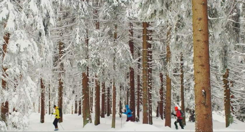 Zobaczcie nagrodzony film Zima w Beskidach